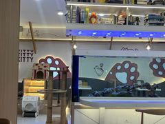 -喵园·猫主题咖啡厅·撸猫·猫咖(国贸店)