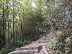 -广州市帽峰山景区