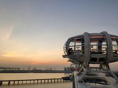 -蔻蔻椰·鲜萃椰子水(欢乐港湾店)