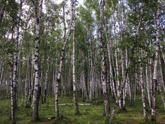 景点-哈乌尔河