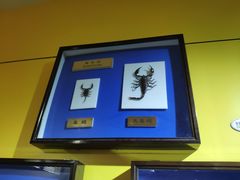 -上海昆虫博物馆