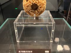 -广西壮族自治区博物馆