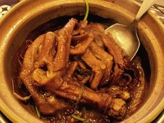 -大中鱼翅 Taitong Shark Fin