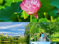 -沐仙湖湿地公园