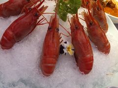 -淮扬府·游园京梦(成都 SKP 店)