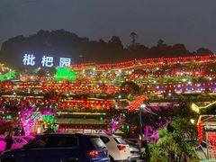 -枇杷园食为鲜火锅(南山店)