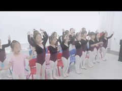 -西安小天鹅艺术团(金花路校区)