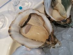 -Oyster Talks 四度蚝法餐厅