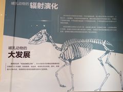 -国家自然博物馆