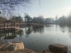 -苏州金鸡湖大酒店
