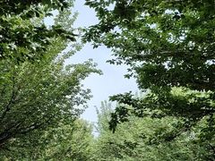 -西安汉城湖景区