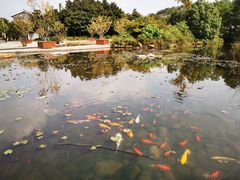 -白马涧龙池景区