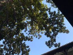 景点-何园