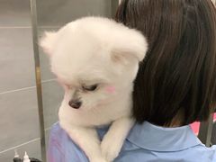 -宠福鑫康馨动物医院·骨科·眼科
