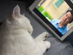 -lincat·猫舍(广州店)