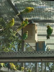 -萌宠亲子动物乐园(槐房万达店)