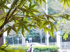 -有茶空间(万科金色半山店)