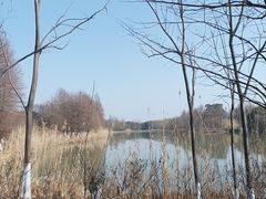 -苏州太湖国家湿地公园