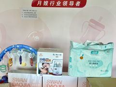 -天鹅到家·保姆月嫂育儿嫂(朝阳店)