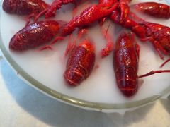 -红盔甲·小龙虾(天钥桥店)
