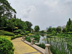 -丁家河公园