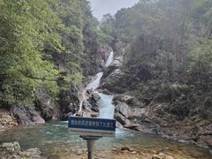 -九龙江国家森林公园