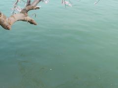-颐和园