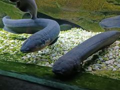 -蓬莱欧乐堡海洋极地世界