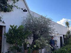 -自由生长植物工作室(深港花卉中心店)