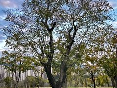 -牛岗山公园