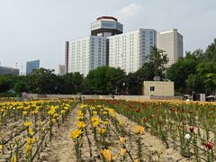 -中国农业博物馆