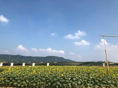-光明小镇欢乐田园