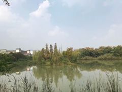 -芜湖方特东方神画