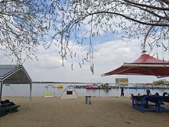 -呼兰河口湿地公园