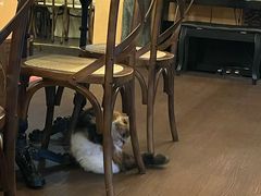 -猫岛主趣味餐厅(鼓浪屿店)