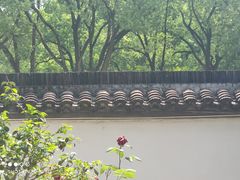 -上海佘山国家森林公园天马山园