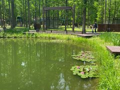 -黄海国家森林公园