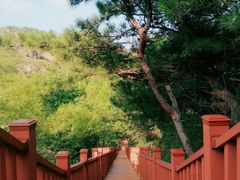 -燕塞湖鸟语林景区