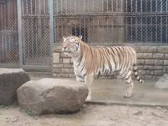 -上方山森林动物世界