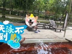 -三江森林温泉度假区