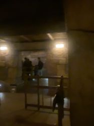 -翱翔飞越地平线