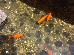 -邈墨茶馆(凤起路店)