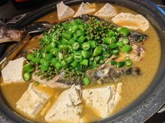 鲜青椒爽麻烤鱼-探鱼·鲜青椒爽麻烤鱼(广州花都来又来店)