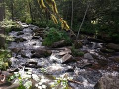 -汤旺河林海奇石景区