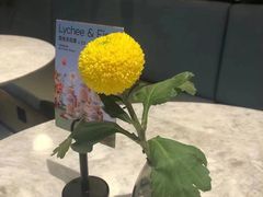 -gaga(金地威新中心店)