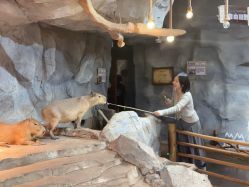 -Zoolung Zoolung动物主题公园(海信广场店)