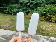 -南丹山森林王国