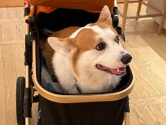 -LV路易威登(国际广场店)