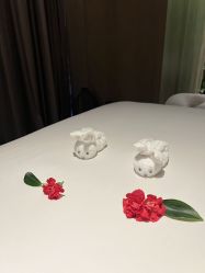 -VELEE·SPA高定疗愈会所