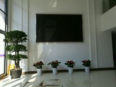 -上海市黄浦区教育学院附属中山学校